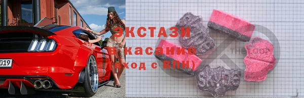 стаф Алзамай