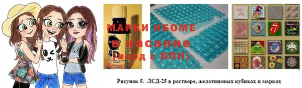 стаф Алзамай