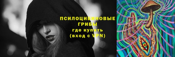 сатива Алексеевка