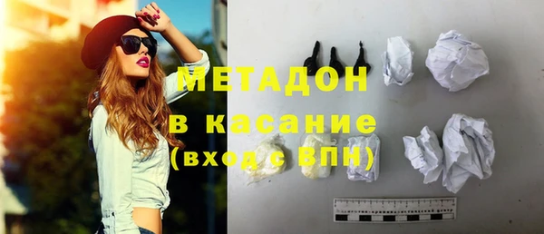 стаф Алзамай