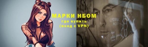 стаф Алзамай